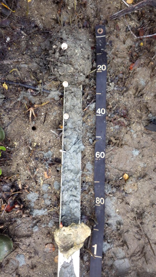 20190322-SR-NRCS-001.jpg