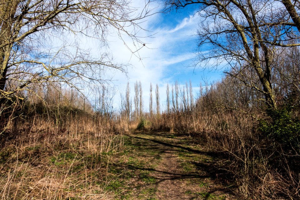 Wandelen