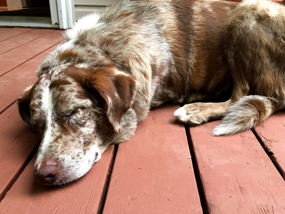 Someone Has to Be At Peace in the World