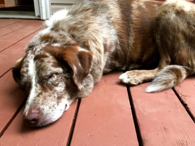 Someone Has to Be At Peace in the World