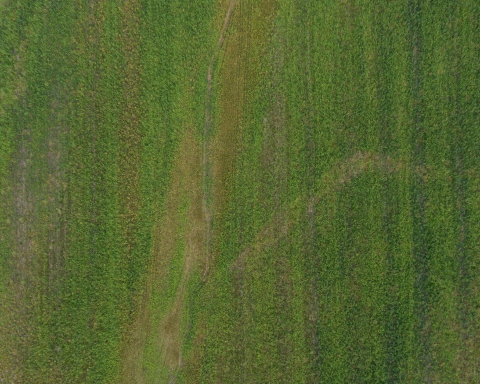 20190920-NRCS-LSC-0141