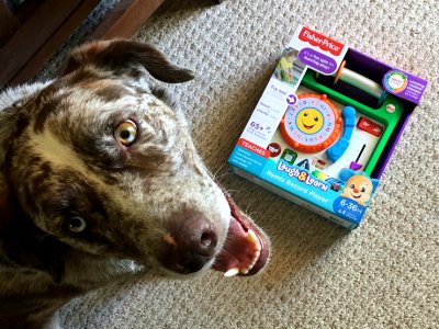 I Can Laugh And Learn, I can