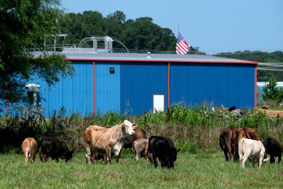 20190627-NRCS-LSC-0670