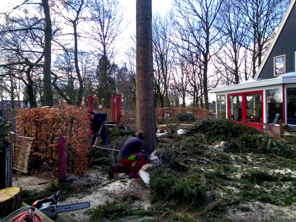 Fijnspar kleingemaakt en opgeruimd