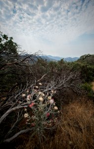 20160822-FS-LSC-0120