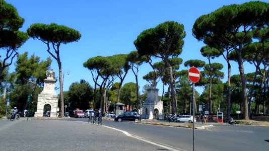 DSC05797