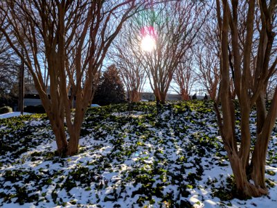 Snowy Georgia Tech Walkway