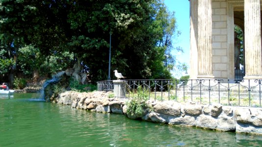 DSC05874