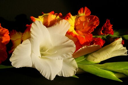 Yellow orange bouquet photo