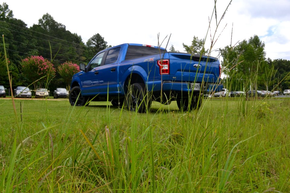 Ford Truck in the Grass