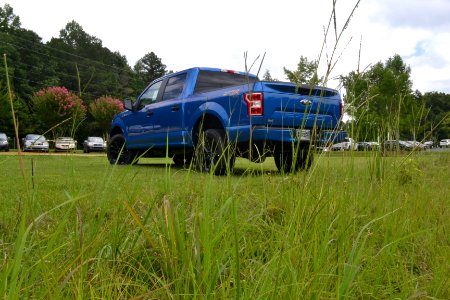Ford Truck in the Grass