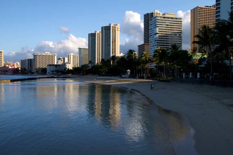 2009/365/174 Shiny Waikiki