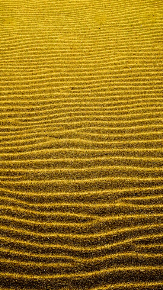 Texture beach desert photo