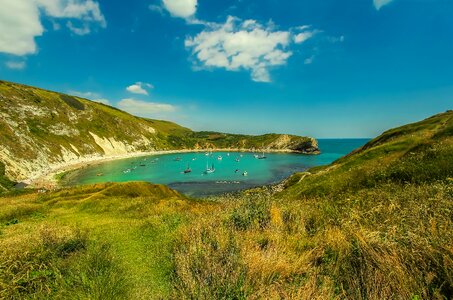 Laguna ocean dorset