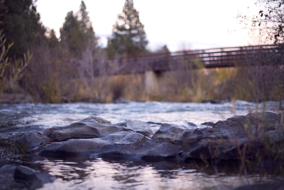 Vegetation water flow