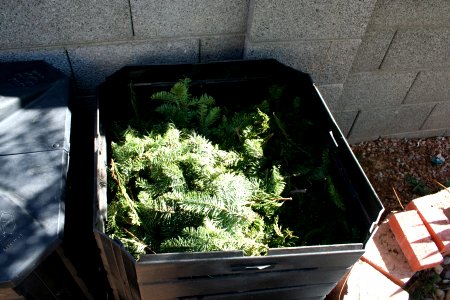 Christmas Composted