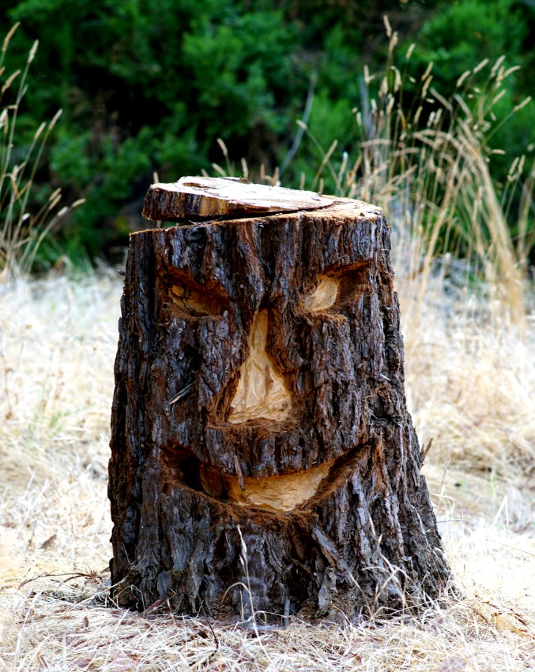 Lumberjack with sense of humor