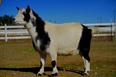 DSC01712 v1