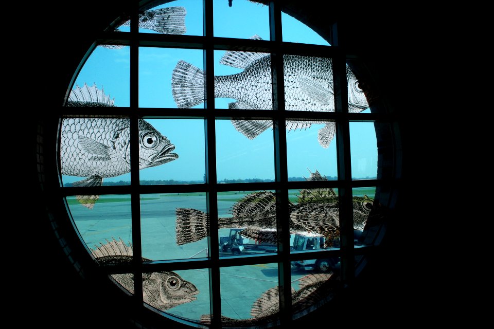 Airport Aquarium