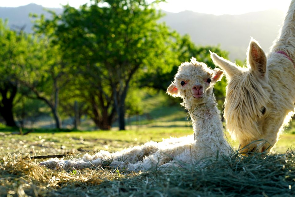 Day 2: Hanging out with Mom.