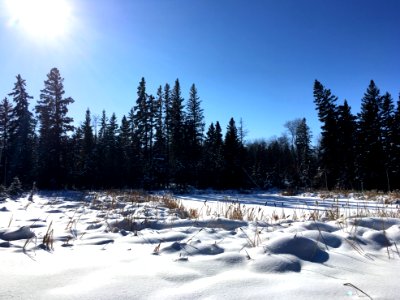 Hummocky Snow Terrain