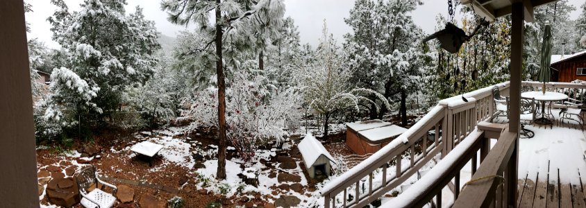 Backyard Pano in First Snow photo