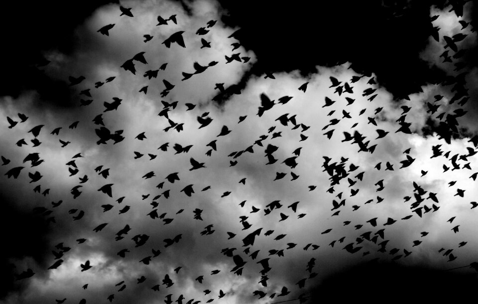 Flying sky clouds
