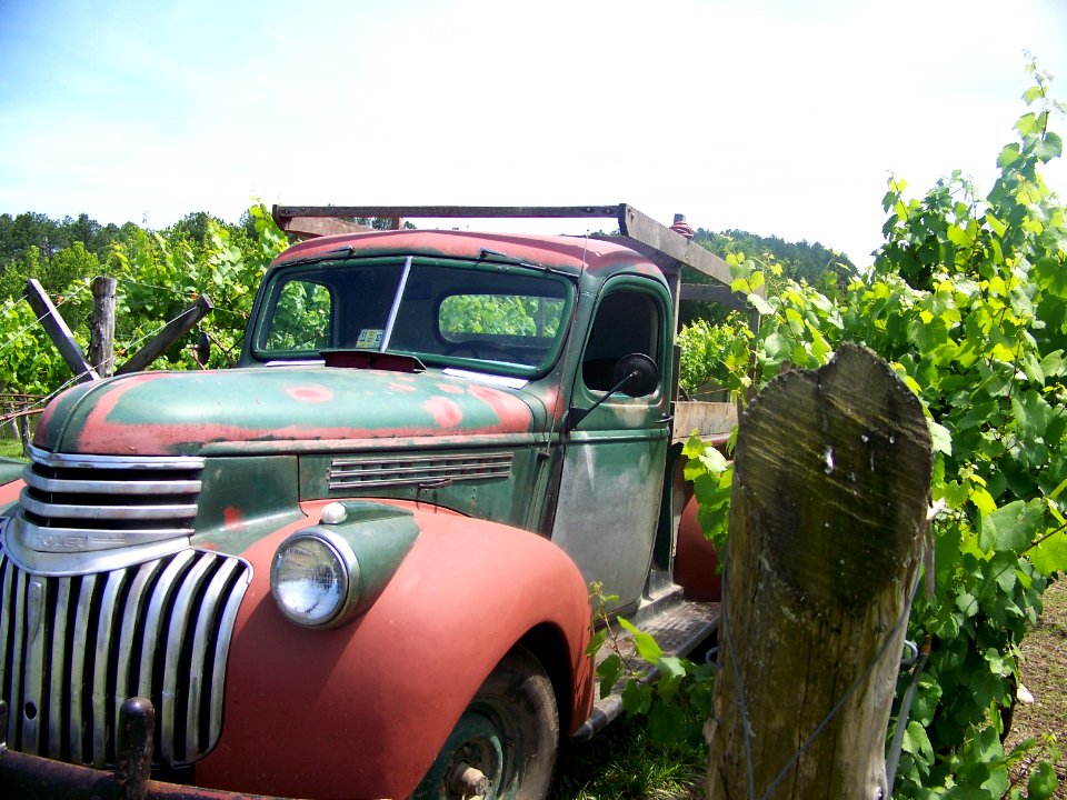 misc old truck in vineyard