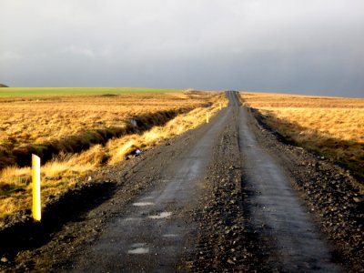 The Road Out