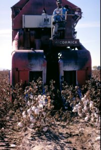 71cs0102
