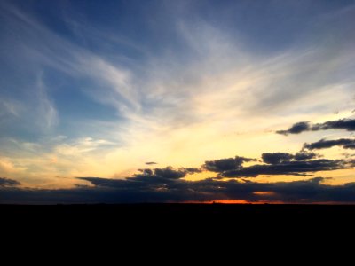 Savory Skies