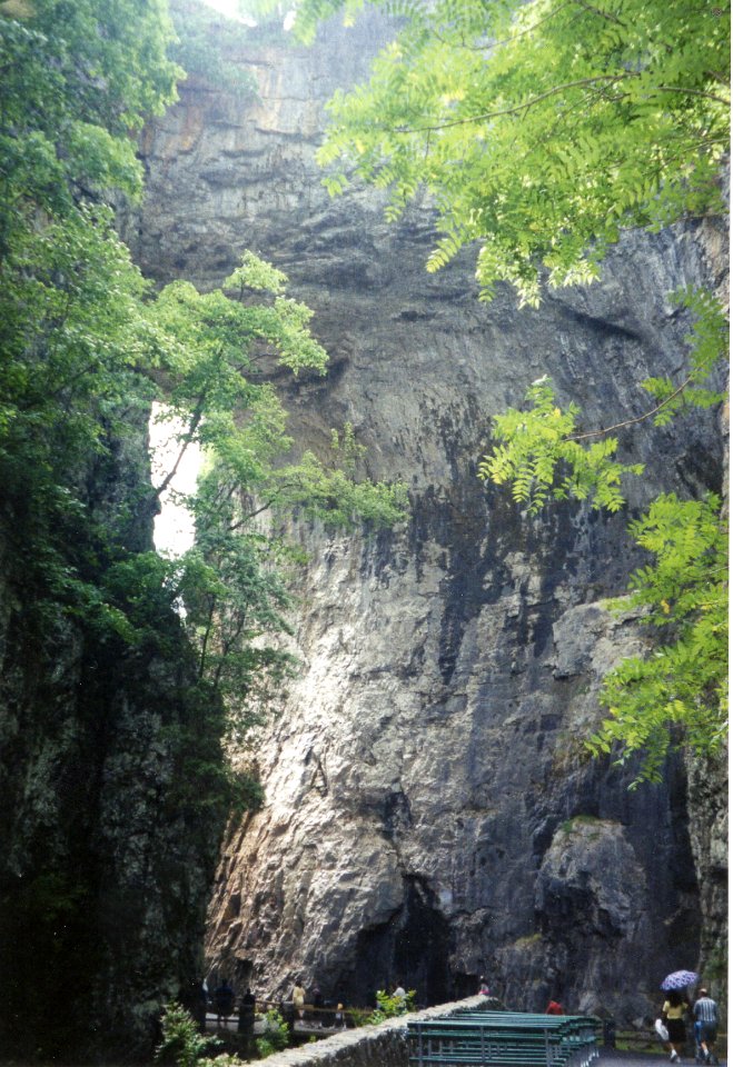 dest natural bridge