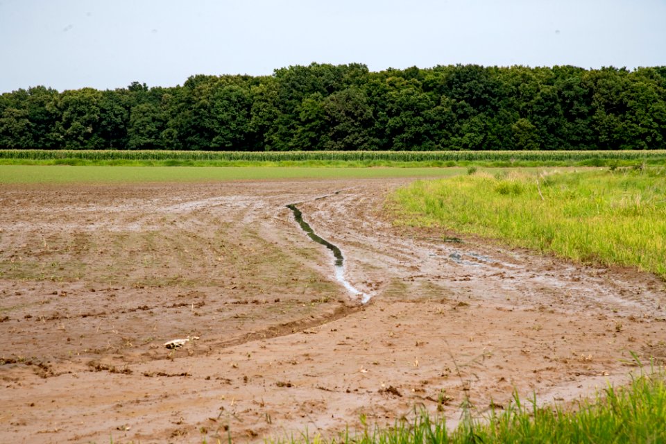 20190625-NRCS-LSC-0689