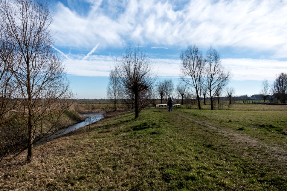 Wandelen