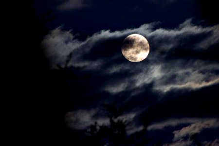 Rising Bad Moon