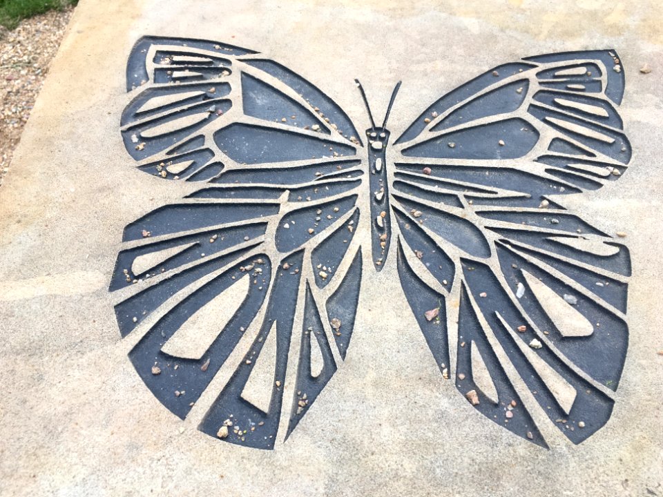 Remember Butterflies