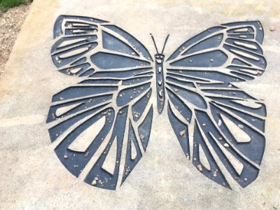 Remember Butterflies