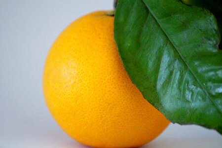Vitamin c fruit healthy