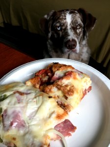 2018/365/318 Saddest Pizza Face Ever