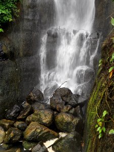 The Eden Project