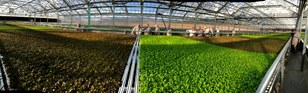 Agriculture Secretary Perdue tours the Lēf Hydroponic Farm, in  Lēf Farm, Loudon, NH, on Sep 1, 2017. USDA Photo by Lance Cheung.