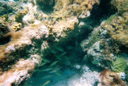 misc underwater2
