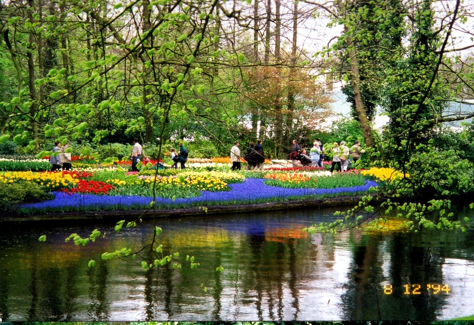 dest keukenhof gardens1