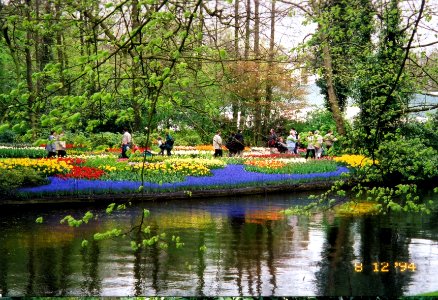 dest keukenhof gardens1