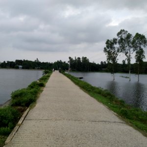 Bangalpara to Austagram road.  Photo taken from Bangalpara highway, of Kishoreganj district. (Captured by Misbah).