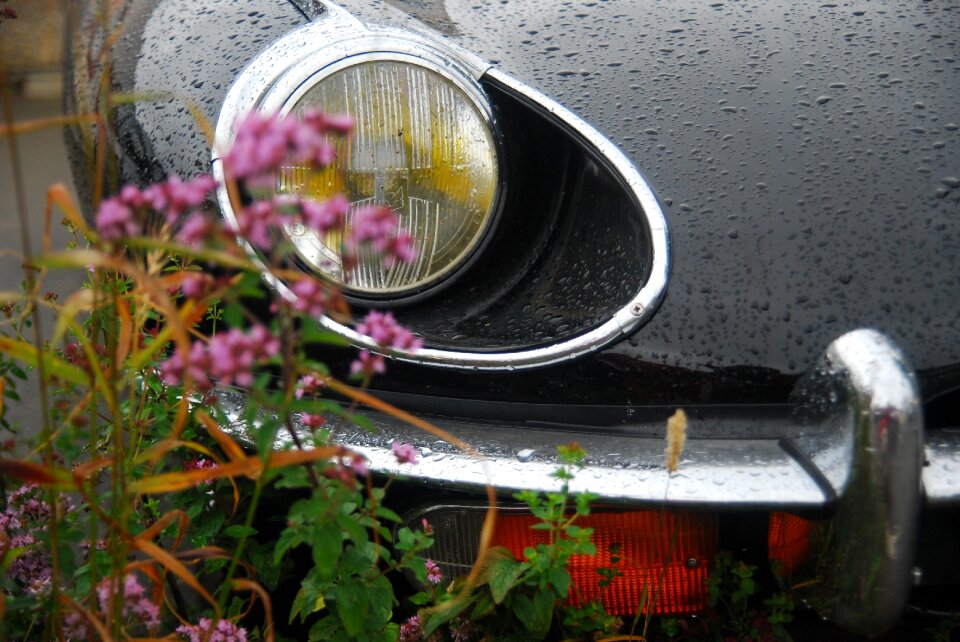 Vehicle flowers transportation
