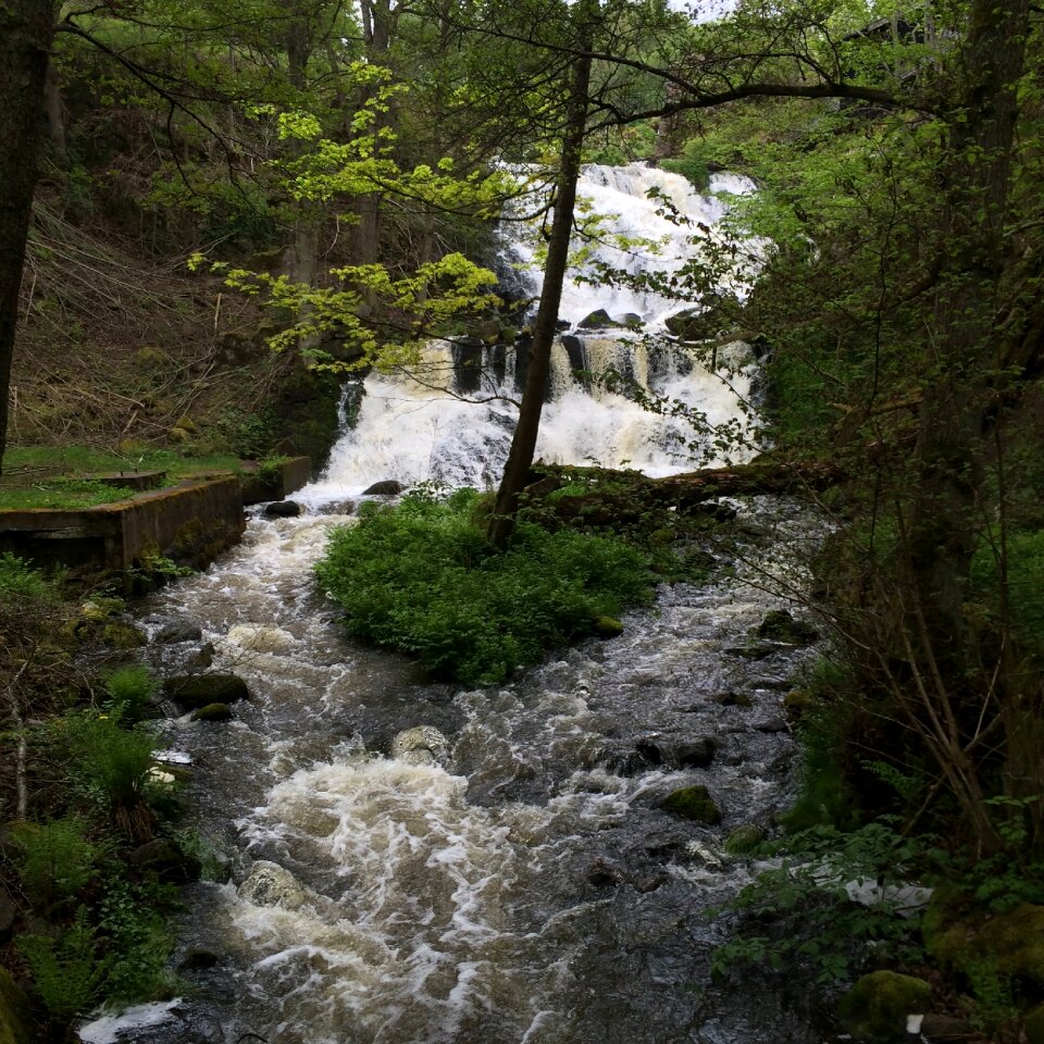 Fors nature beautiful