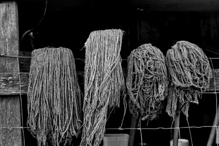The Mops of Stonehenge