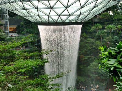 changi-airport-singapore photo