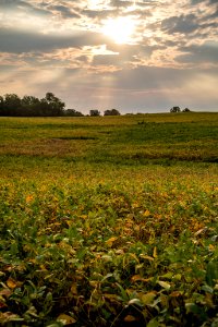 20190920-NRCS-LSC-0188